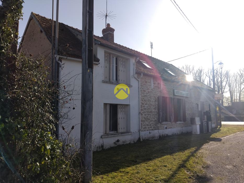 Forêt de Tronçais à 100m