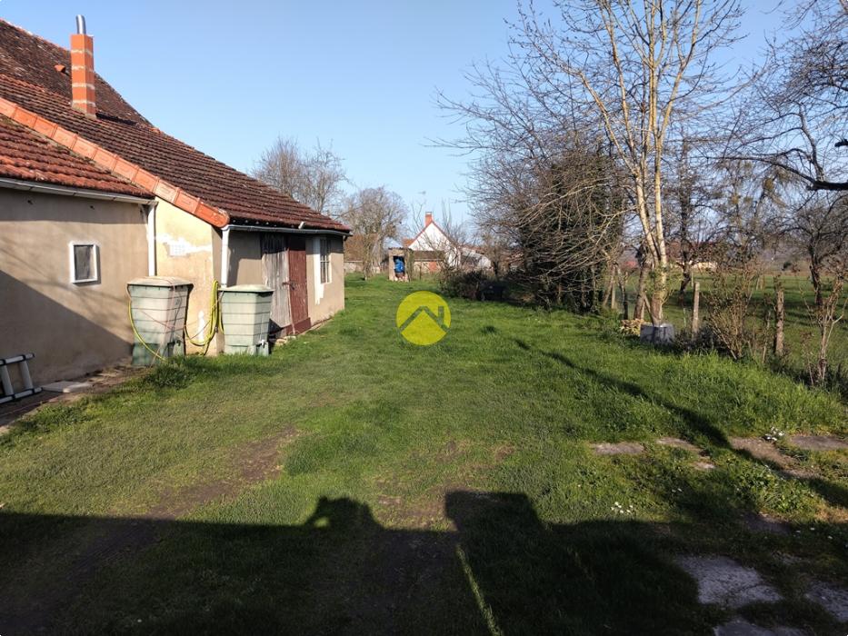 Forêt de Tronçais à 100m