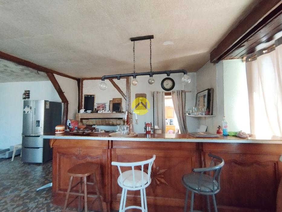 Forêt de Tronçais à 100m