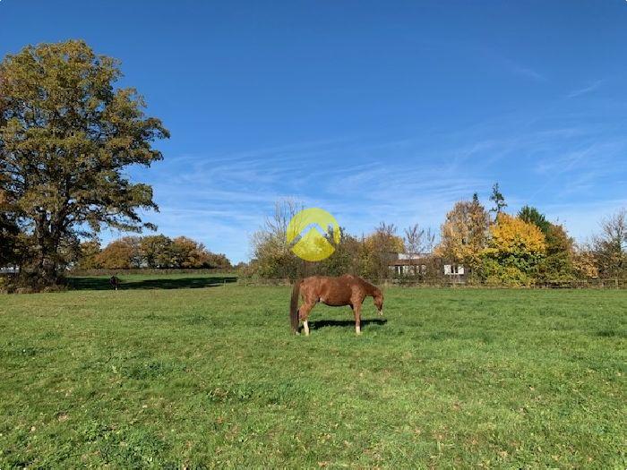 Un petit coin de paradis