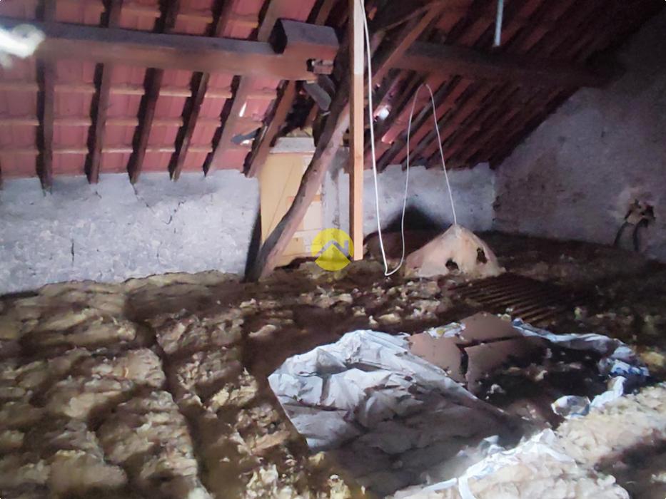 Petite maison de ville