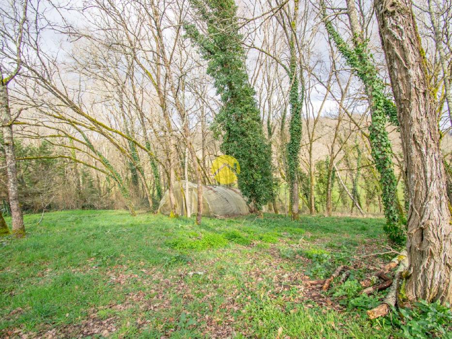 Belle maison 4ch avec piscine 