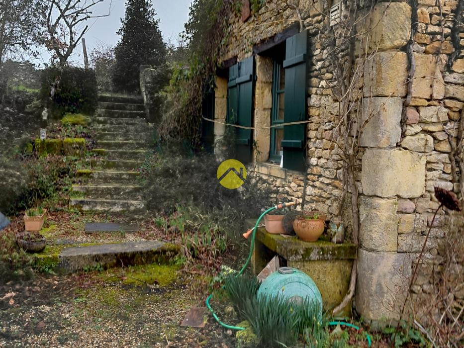 Belle Périgourdine + Gîte 