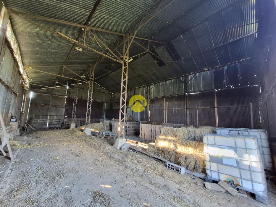 Terrain de 2 hectares