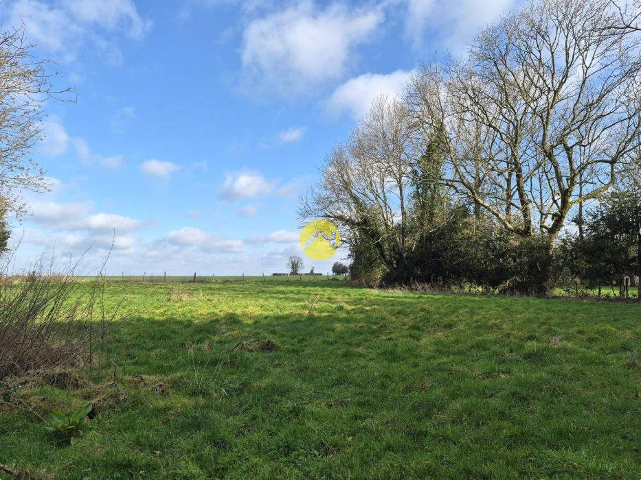 Terrain de 2 hectares