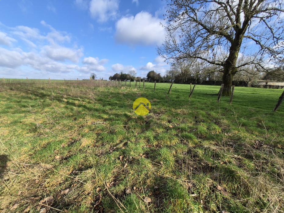Terrain de 2 hectares