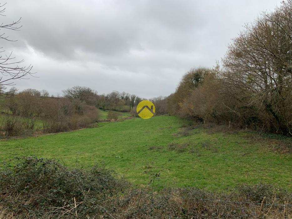 En campagne avec 2 Hectares