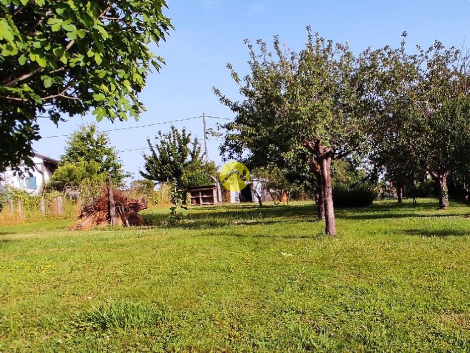 Maison avec pré-mare non attenant