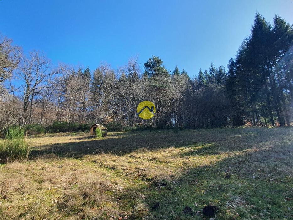 MAISON DE CARACTERE AU CALME