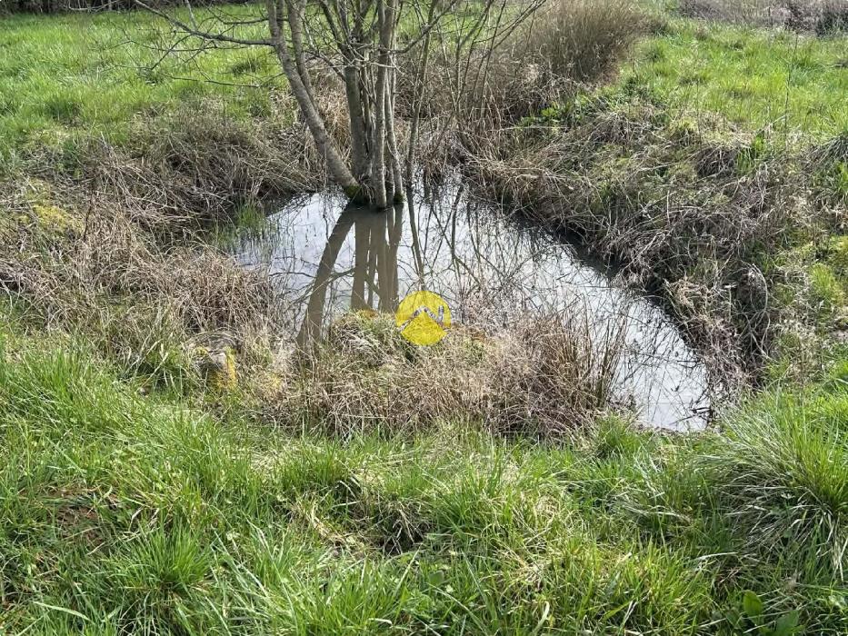 longère avec 4 ha de prairie