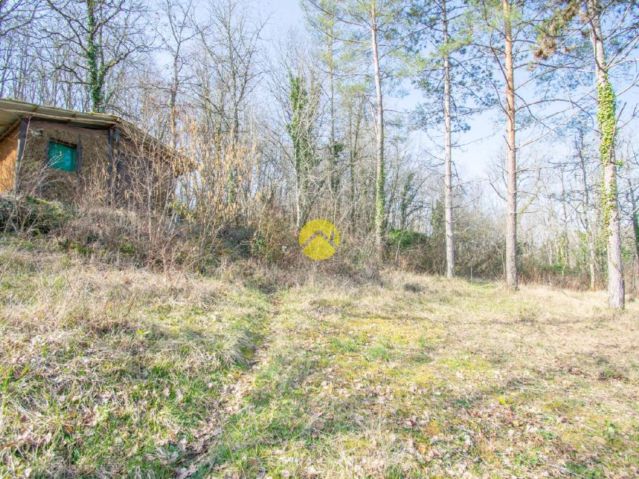 Maison charmante avec atelier