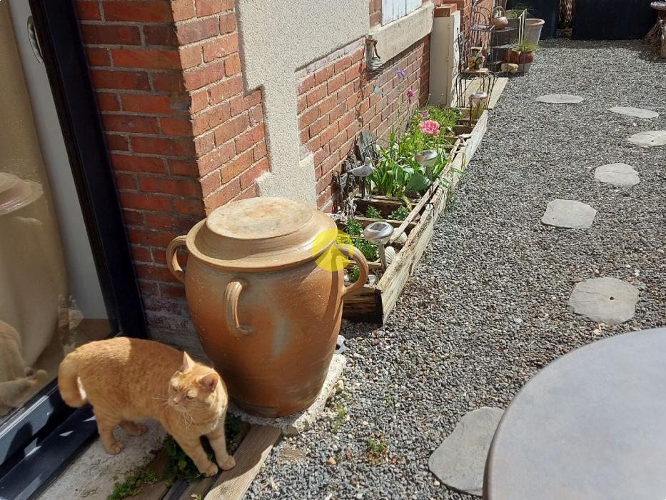 MAISON SECTEUR MARRONNIERS