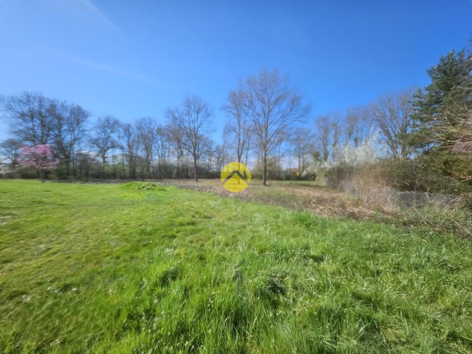 terrain possibilité de diviser