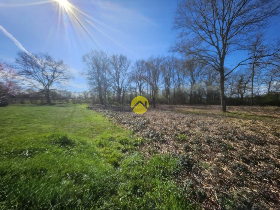 terrain possibilité de diviser