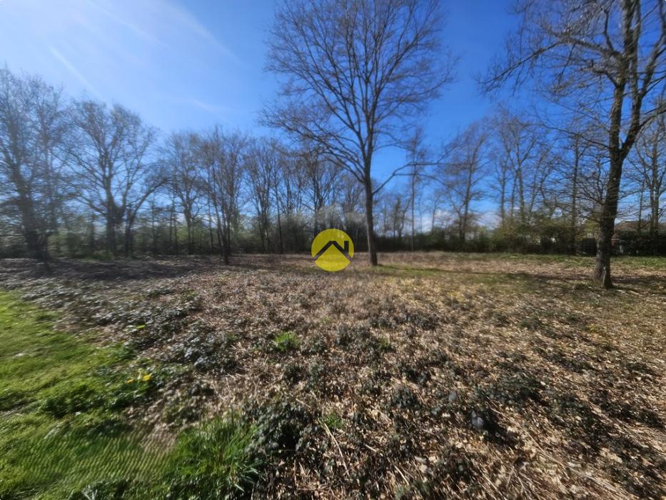 terrain possibilité de diviser