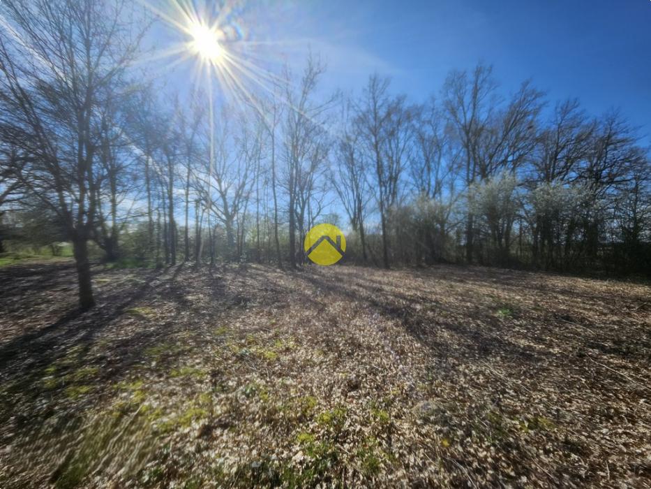 terrain possibilité de diviser