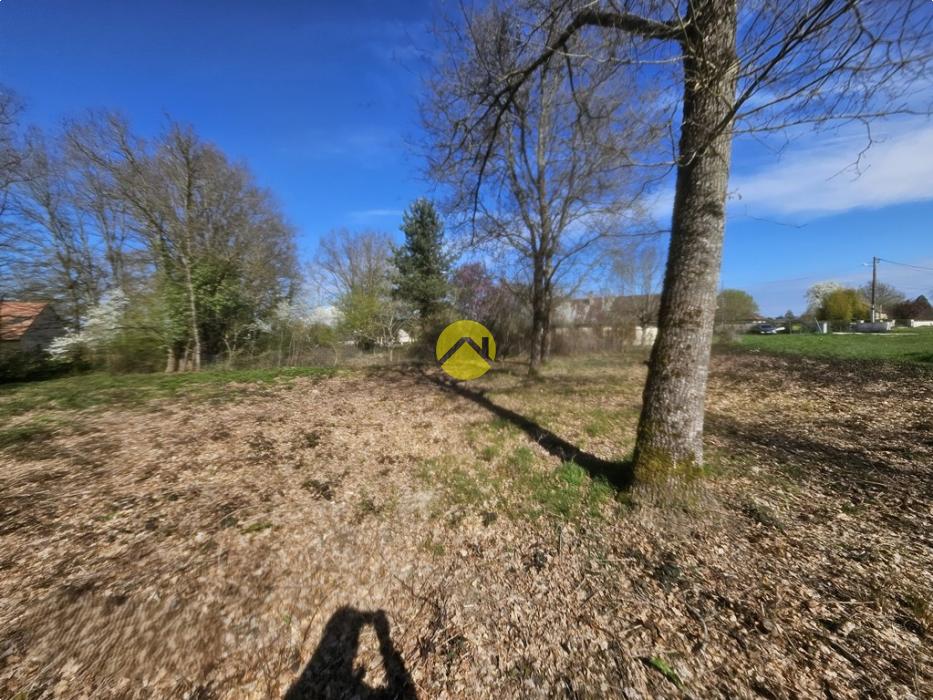 terrain possibilité de diviser