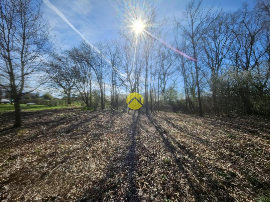 terrain possibilité de diviser