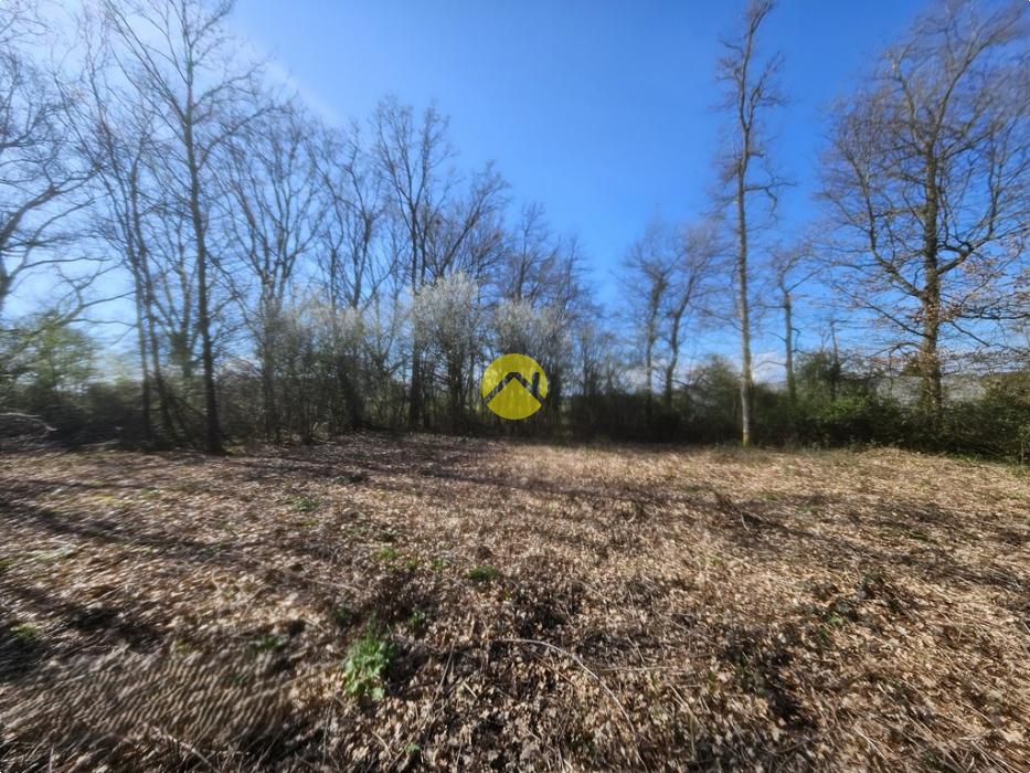 terrain possibilité de diviser