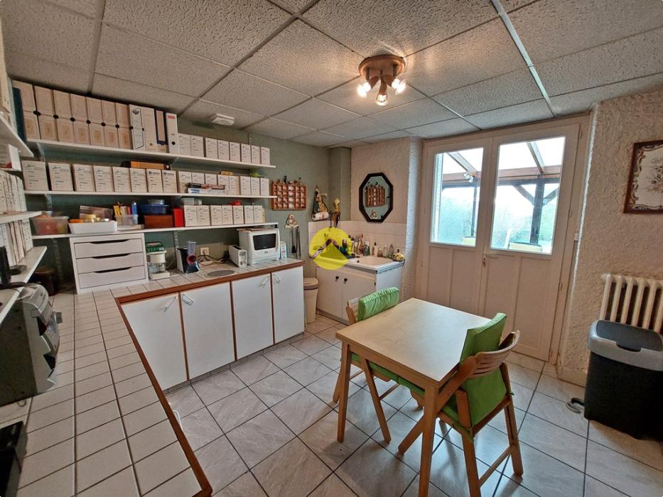 DEMEURE CENTRE VILLE AVEC TERRAIN