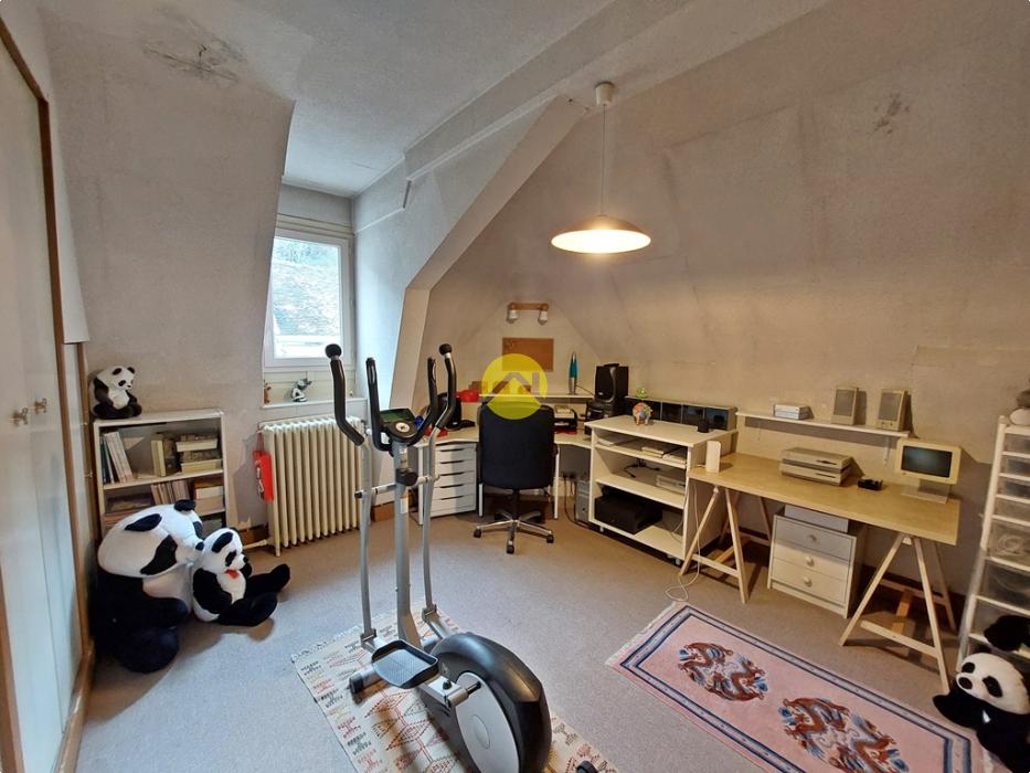 DEMEURE CENTRE VILLE AVEC TERRAIN