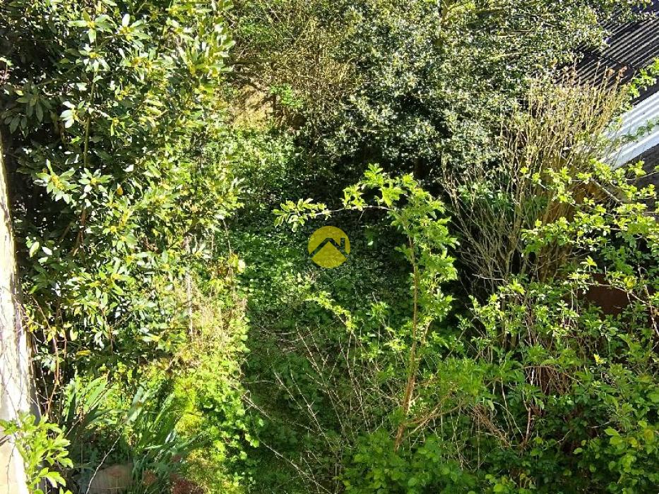 Grande maison à petit prix