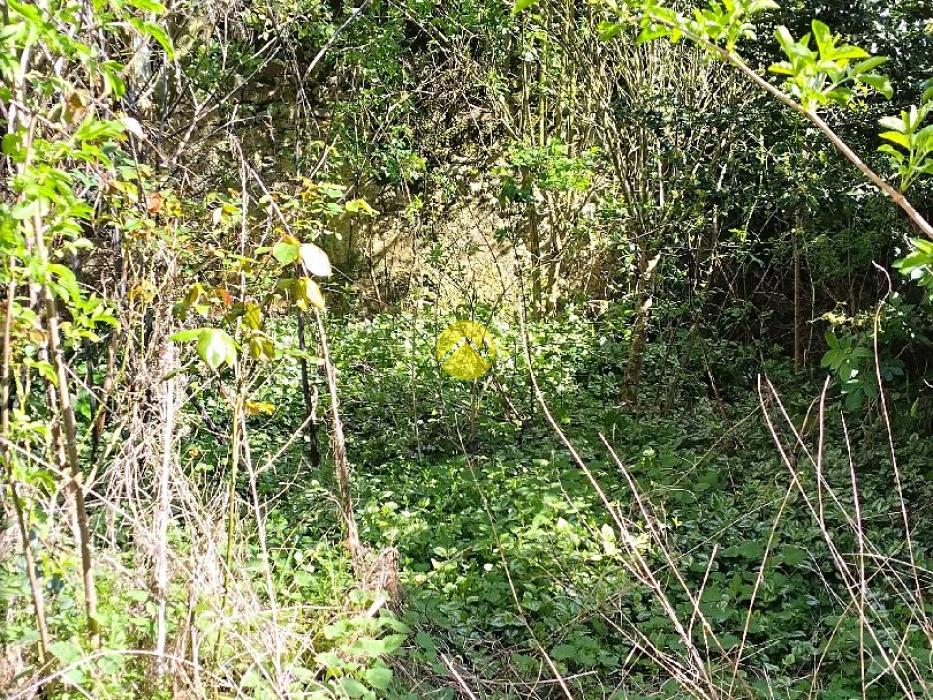 Grande maison à petit prix