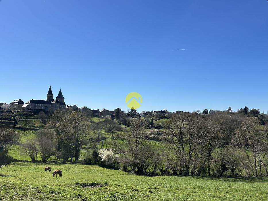 MAISON EN PIERRE A RENOVER