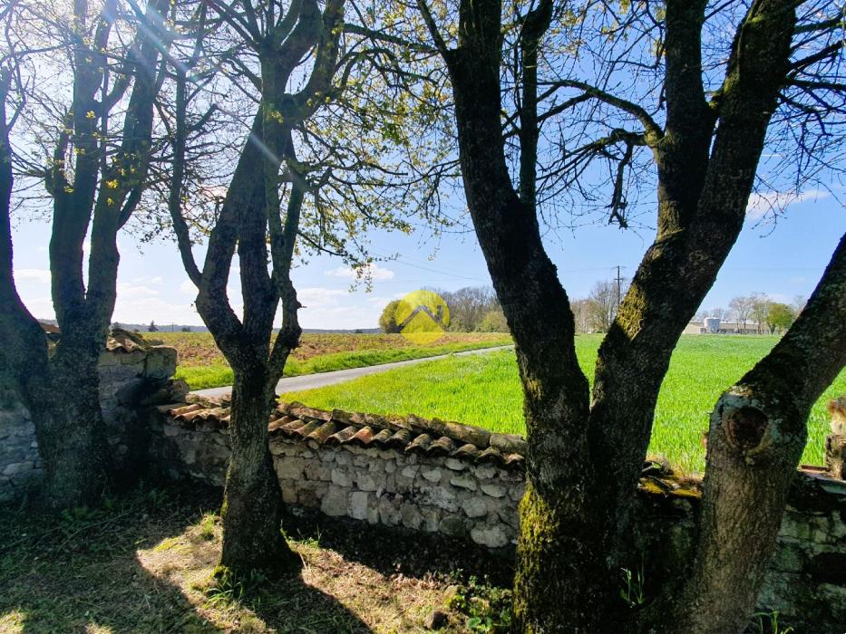 Au coeur de la campagne