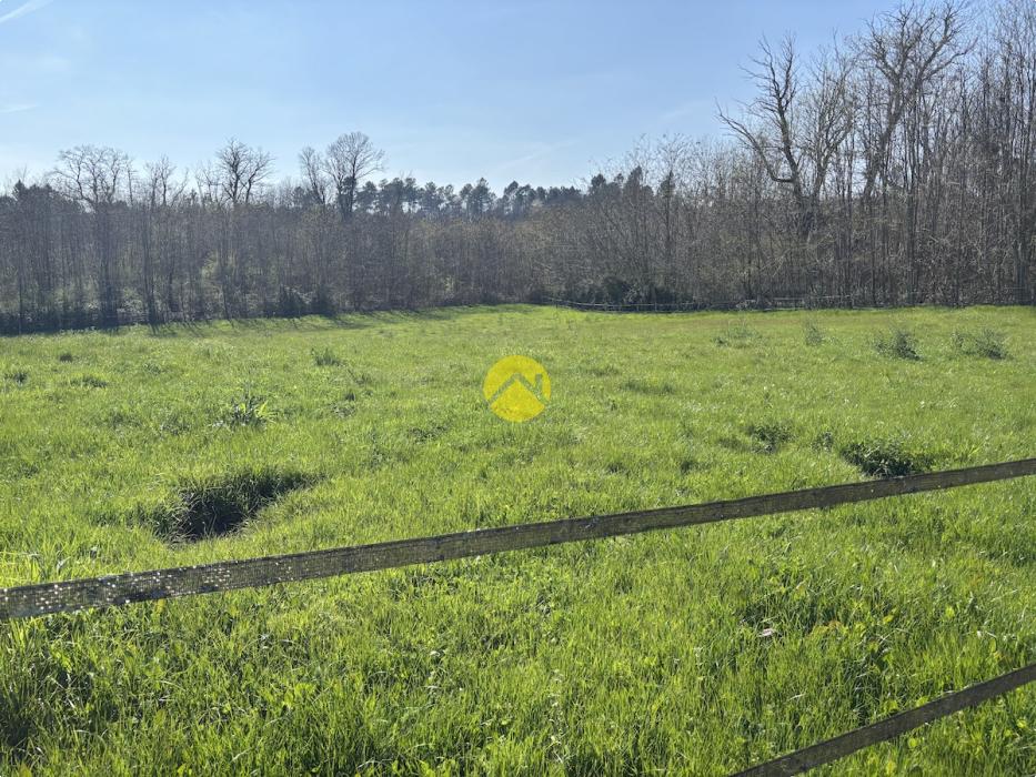 Belle maison avec un grand terrain 