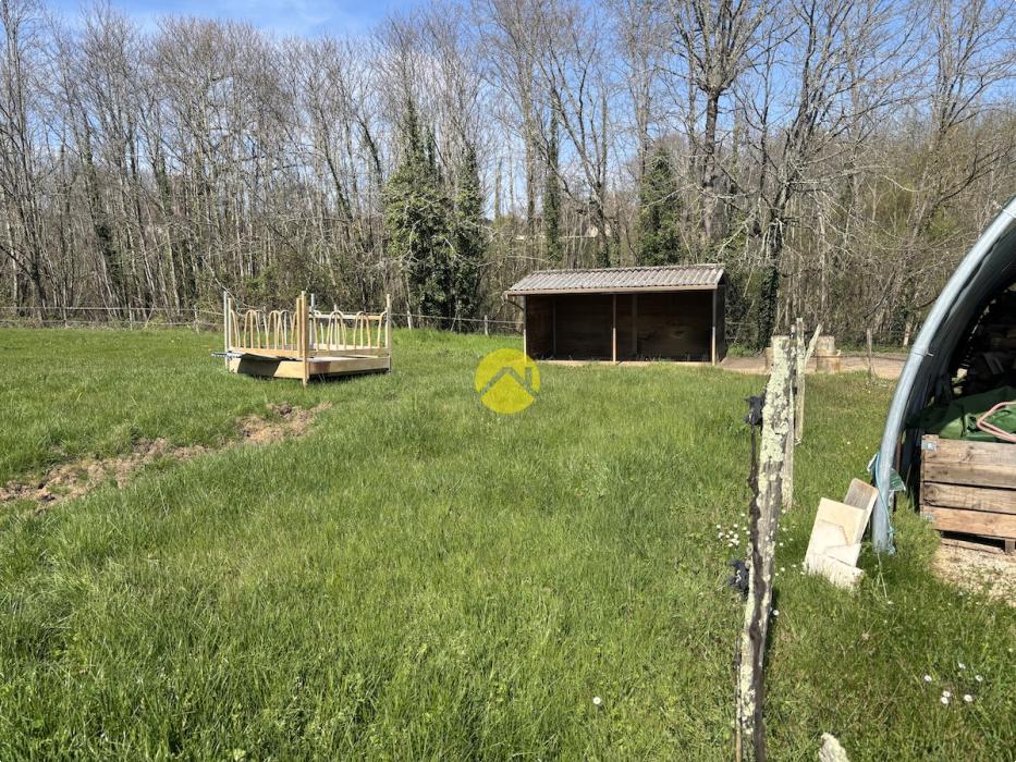 Belle maison avec un grand terrain 