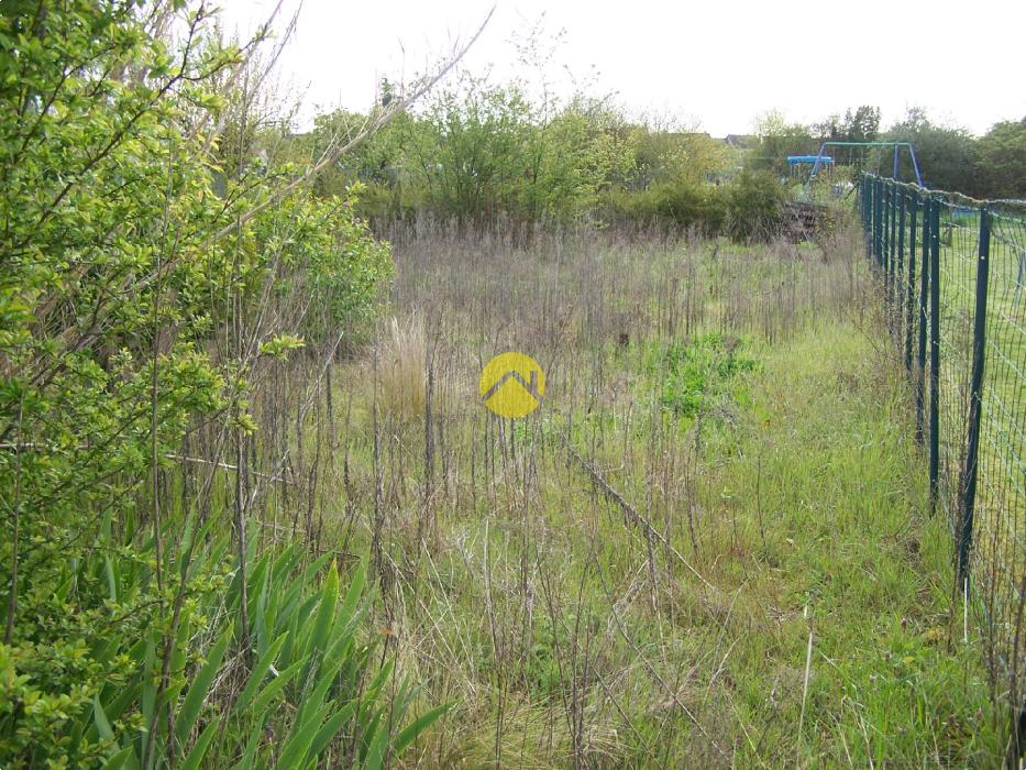 UN PETIT COIN DE JARDIN AU CALME 