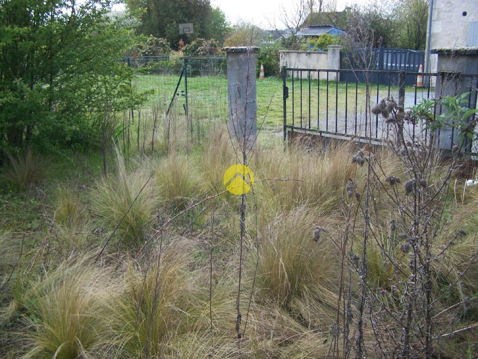 UN PETIT COIN DE JARDIN AU CALME 