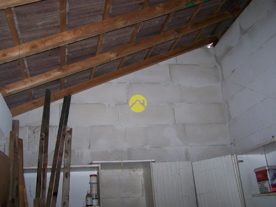 UN PETIT COIN DE JARDIN AU CALME 