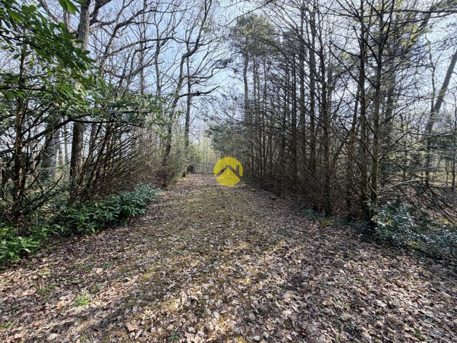 Étangs en pleine nature