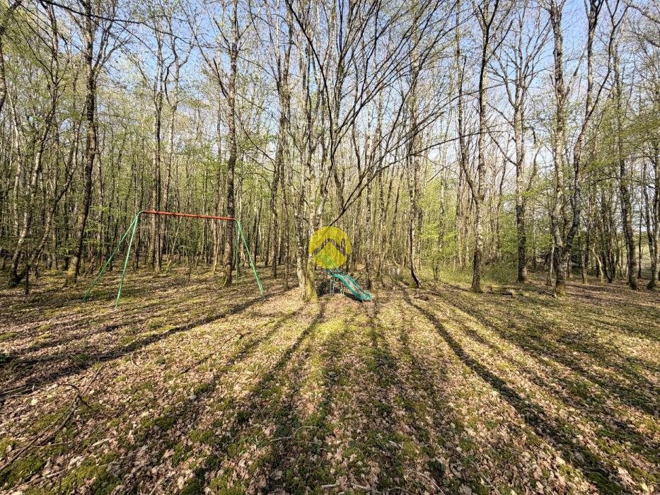 Étangs en pleine nature