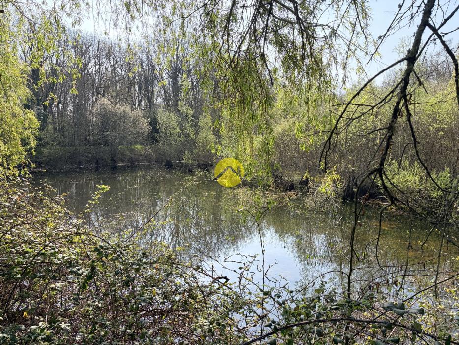 Étangs en pleine nature