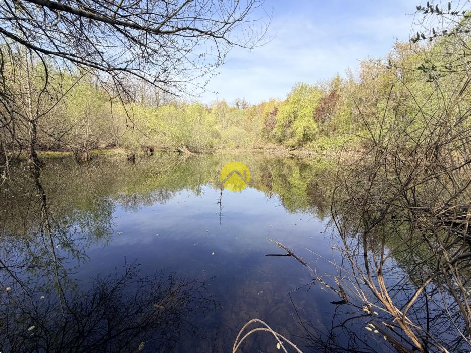 Étangs en pleine nature