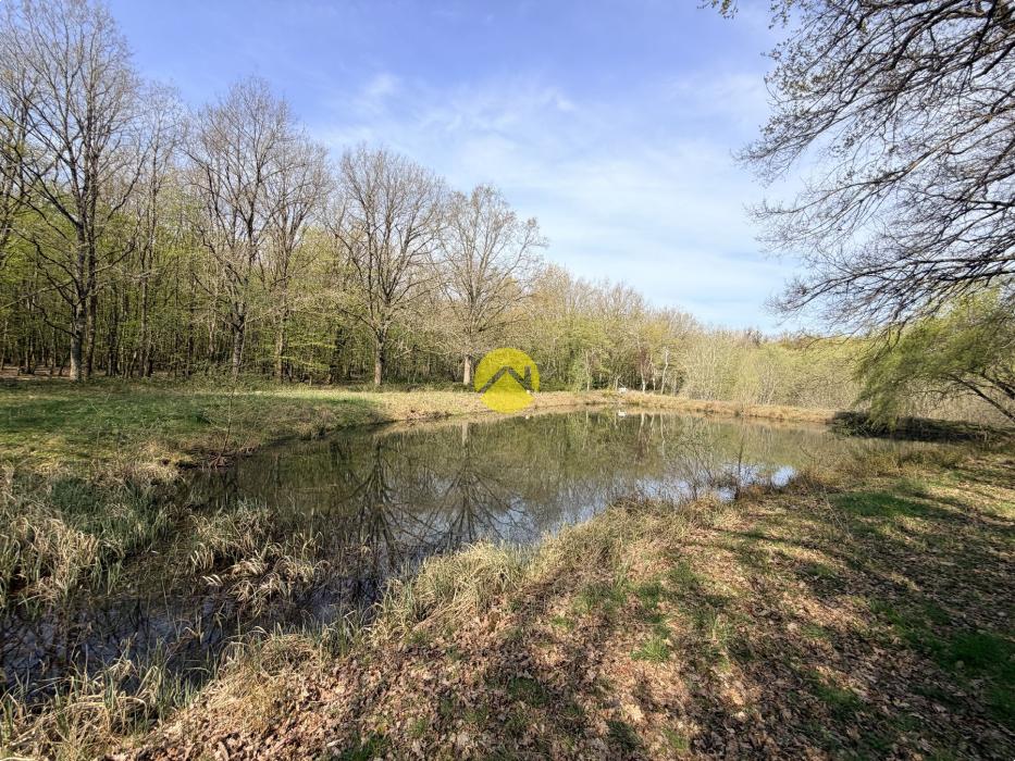 Étangs en pleine nature
