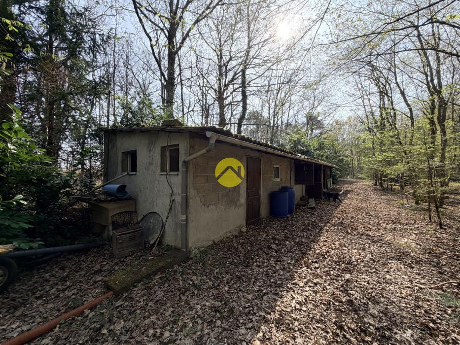 Étangs en pleine nature