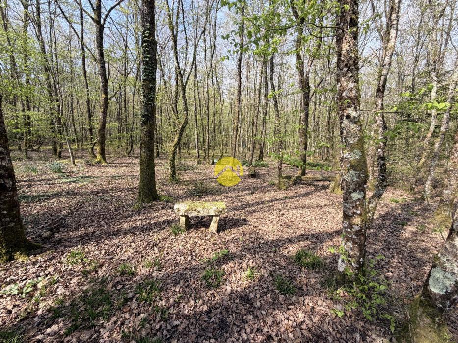 Étangs en pleine nature