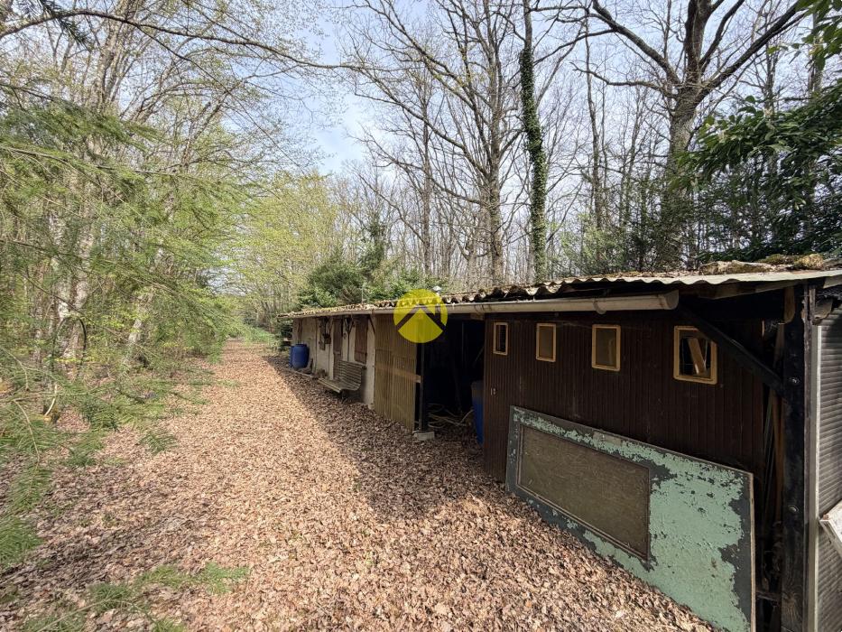 Étangs en pleine nature