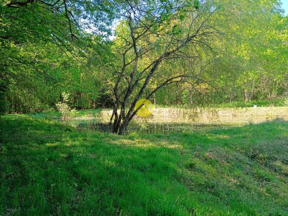 Étangs en pleine nature
