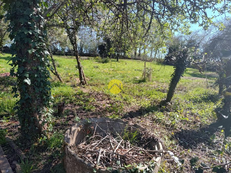 3ch jardin 2379m² maison + grange