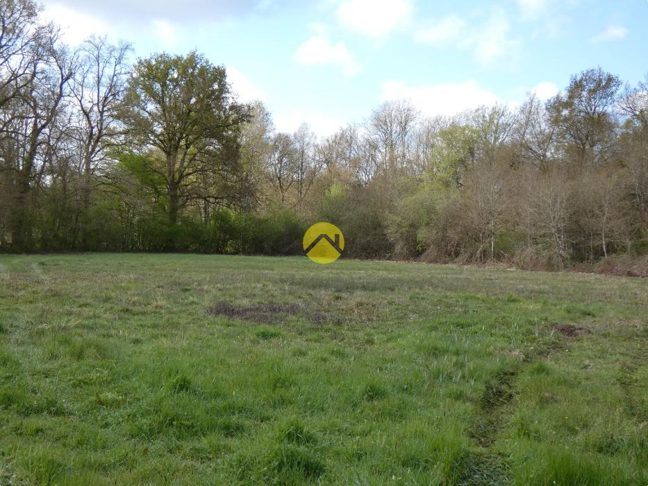 BELLE PROPRIETE 20 HA