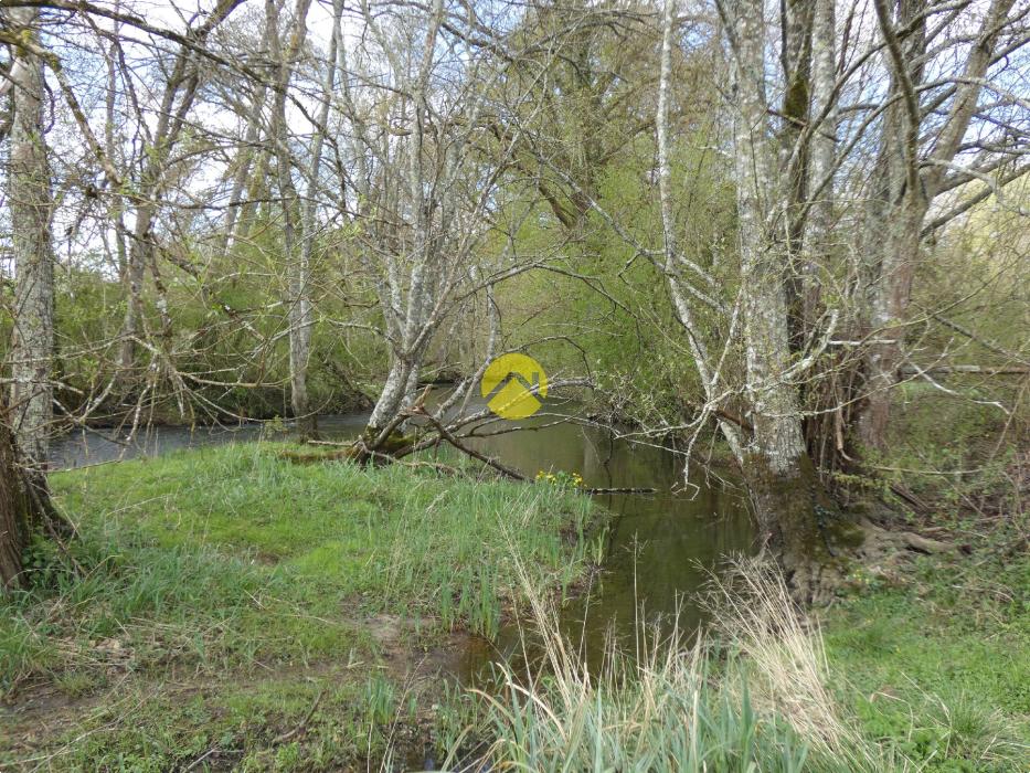 BELLE PROPRIETE 20 HA