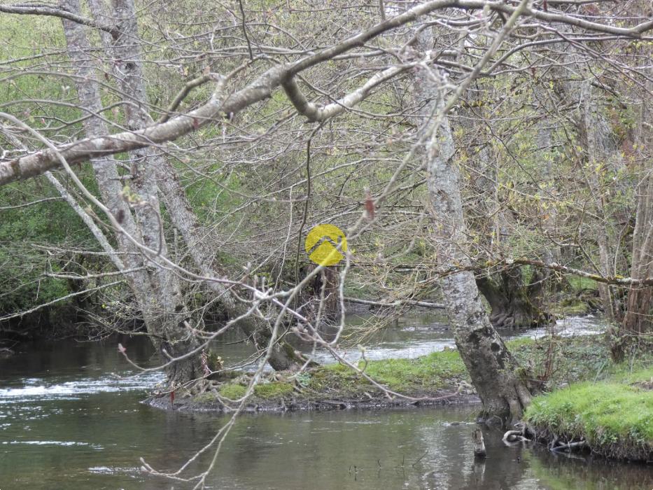 BELLE PROPRIETE 20 HA