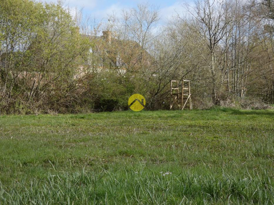 BELLE PROPRIETE 20 HA