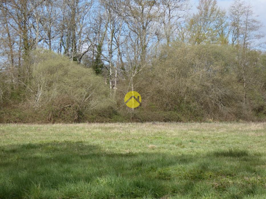 BELLE PROPRIETE 20 HA