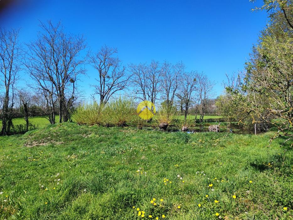 Maison de 55mm² avec un plan d'eau.